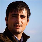 Doy clases particulares bilingües castellano/inglés como preparar presentaciones públicas usando powerpoint